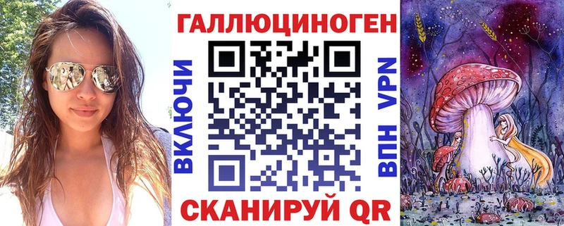 закладки Камышлов Галлюциногенные грибы Psilocybine cubensis