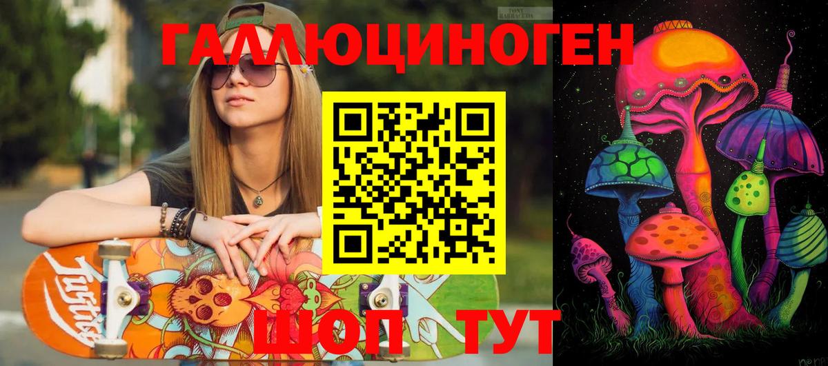 Камышлов  Псилоцибиновые грибы GOLDEN TEACHER  Вход с VPN 