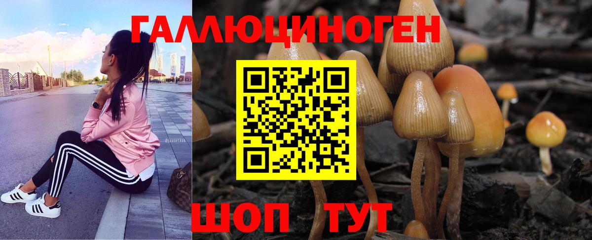 Псилоцибиновые грибы GOLDEN TEACHER Камышлов