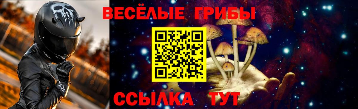 Галлюциногенные грибы мицелий Камышлов